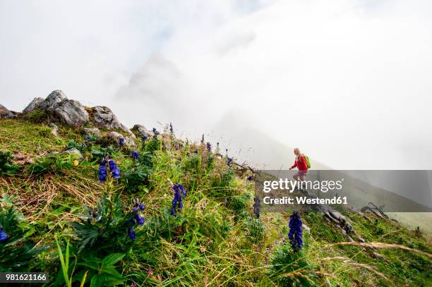 austria, salzburg state, filzmoos, female hiker - íngreme - fotografias e filmes do acervo