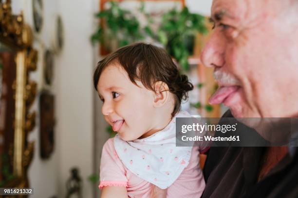 grandfather and granddaughter having fun together - funny face baby stock pictures, royalty-free photos & images