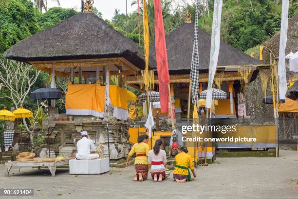 Indonesia. Bali. Gianyar. Preparations for the sacrificial festival at Pura Gunung Kawi.