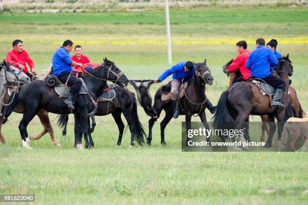 Kyrgyzstan. Issyk-Kul Region. Ak Say. Goat Polo. Nomad Games.