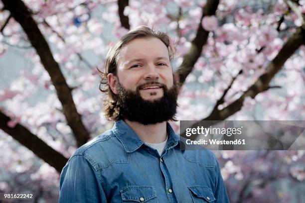portrait of bearded man in front of blossoming cherry tree - poträt mann frühling stock-fotos und bilder