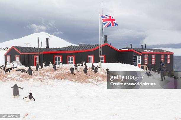 Antarctica. Visit to British Station No63.