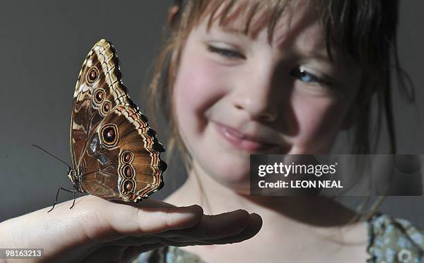 Ettie Rudd Ettie Photos and Premium High Res Pictures - Getty Images
