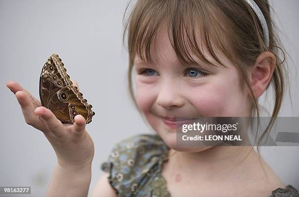 Ettie Rudd 519 Ettie Stock Photos, High-Res Pictures, and Images - Getty Images