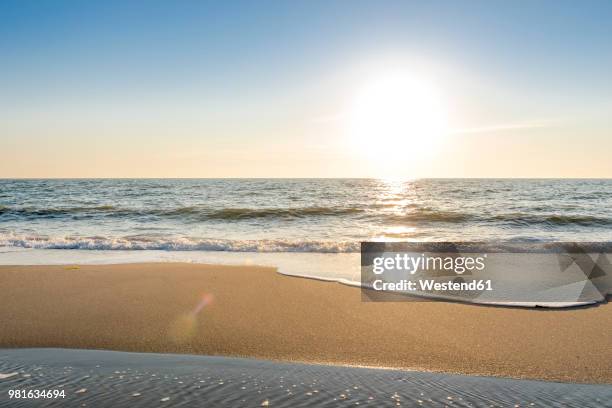 germany, schleswig-holstein, sylt, north sea, beach against the sun - strand stock-fotos und bilder