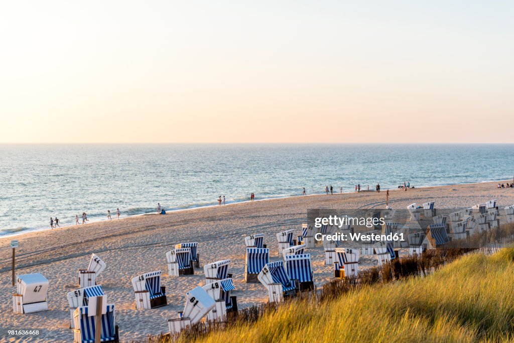 Germany, Schleswig-Holstein, Sylt, beach and empty hooded beach chairs at sunset