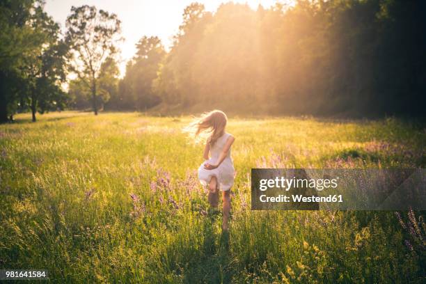 back view of girl running on flower meadow at evening twilight - girl run stock pictures, royalty-free photos & images