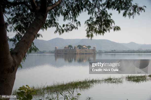 jal mahal lake palace through the trees - jal mahal stock pictures, royalty-free photos & images