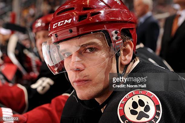 Zbynek Michalek of the Phoenix Coyotes looks on from the bench against the Colorado Avalanche on March 27, 2010 at Jobing.com Arena in Glendale,...