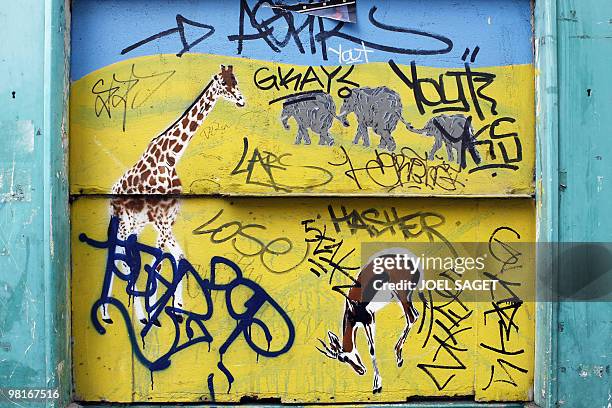 Picture taken on March 27, 2010 in Paris shows a wall covered with graffitis by French artists "Mosko et Associes" featuring elephants, a giraffe and...