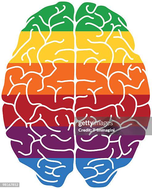 rainbow brain - sensory impulse stock illustrations