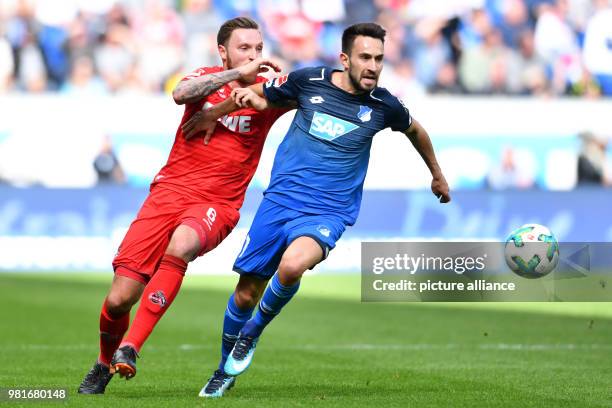 March 2018, Germany, Sinsheim, soccer: Bundesliga, 1899 Hoffenheim vs 1. FC Cologne, in the Rhein Neckar Arena. Cologne's Marco Hoeger and...