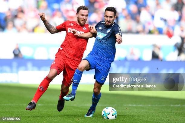 March 2018, Germany, Sinsheim, soccer: Bundesliga, 1899 Hoffenheim vs 1. FC Cologne, in the Rhein Neckar Arena. Cologne's Marco Hoeger and...