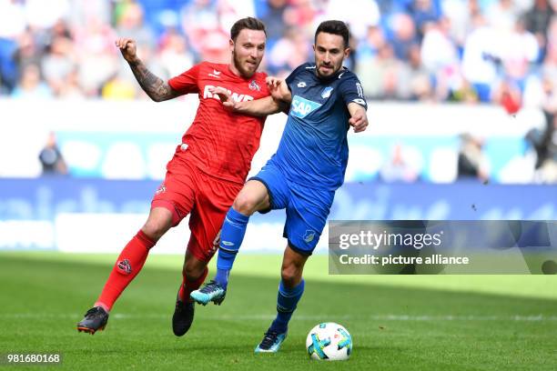 March 2018, Germany, Sinsheim, soccer: Bundesliga, 1899 Hoffenheim vs 1. FC Cologne, in the Rhein Neckar Arena. Cologne's Marco Hoeger and...