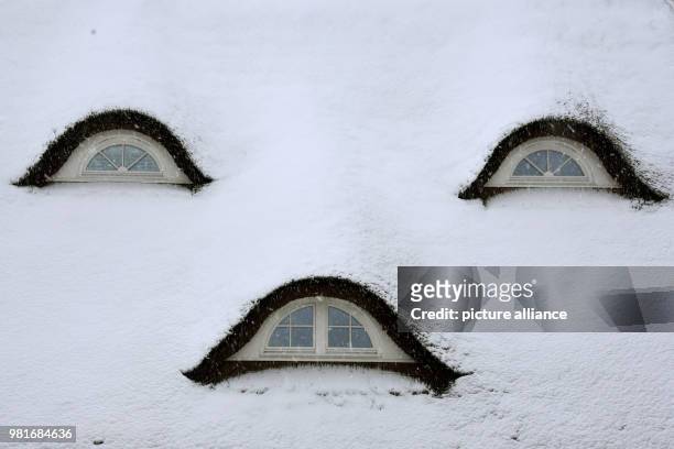 Dpatop - A roof is cover in snow in Hiddensee Vitte, Germany, 01 April 2018. Photo: Waltraud Grubitzsch/dpa-Zentralbild/dpa
