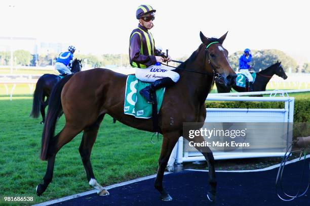 Adam Hyeronimus on Reiby Rampart returns to scale after winning race 6 during Sydney Racing at Royal Randwick Racecourse on June 23, 2018 in Sydney,...