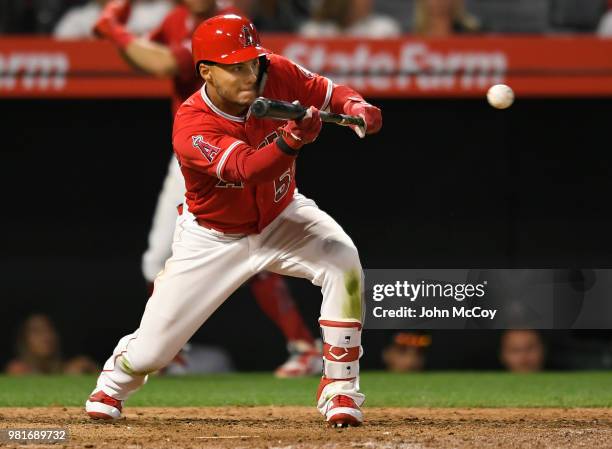 Michael Hermosillo of the Los Angeles Angels of Anaheim does not make it to base on this bunt in the eight inning against the Toronto Blue Jays at...