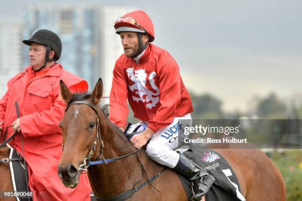 Damien Oliver returns to the mounting yard on Remember the Name after winning the Macedon and Goldfields Handicap at Flemington Racecourse on June...