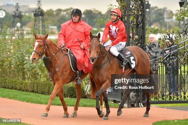 Damien Oliver returns to the mounting yard on Remember the Name after winning the Macedon and Goldfields Handicap at Flemington Racecourse on June...