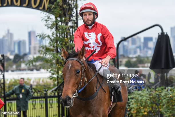 Damien Oliver returns to the mounting yard on Remember the Name after winning the Macedon and Goldfields Handicap at Flemington Racecourse on June...