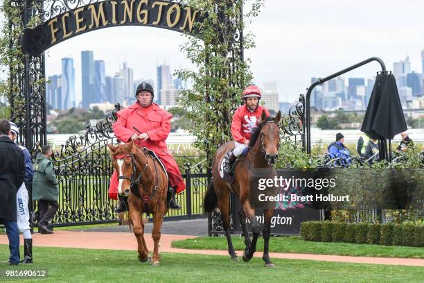 Damien Oliver returns to the mounting yard on Remember the Name after winning the Macedon and Goldfields Handicap at Flemington Racecourse on June...