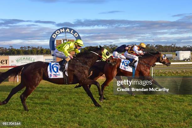 Zedda ridden by Linda Meech wins the Michaels of Donald BM64 Handicap at Donald Racecourse on June 23, 2018 in Donald, Australia.