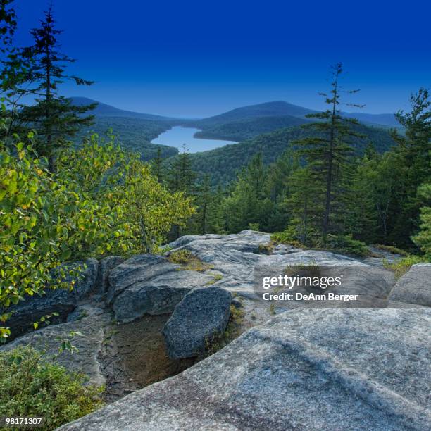 Groton Tree Inventory Groton Photos and Premium High Res Pictures - Getty Images