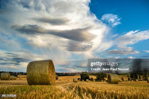 photo by: jean-paul nouvel - nouvel an stock pictures, royalty-free photos & images