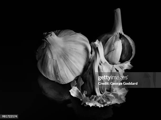 garlic 2 - black and white vegetables stock pictures, royalty-free photos & images