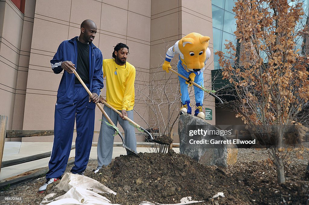 Denver Nuggets Tree Planting