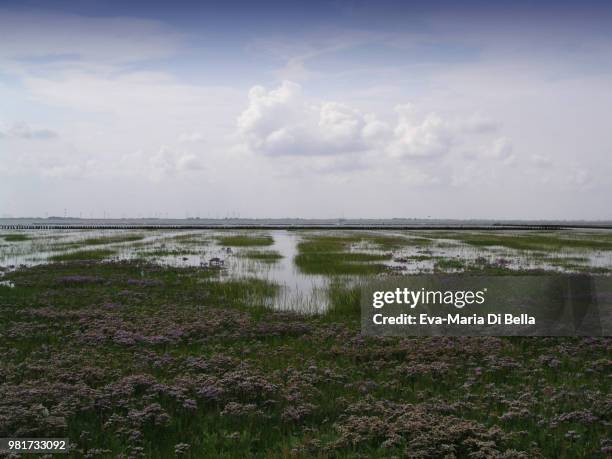 das wattenmeer, norderney, nordsee - nordsee strand stock pictures, royalty-free photos & images