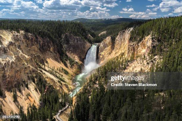 landscape with lower falls in yellowstone national park, wyoming, usa - cataratas lower falls fotografías e imágenes de stock