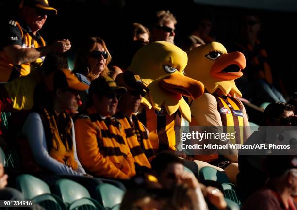 The Hawks mascots are seeing the crowd during the 2018 AFL round 14 match between the Hawthorn Hawks and the Gold Coast Suns at UTAS Stadium on June...