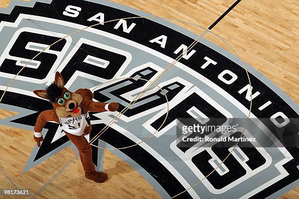 The San Antonio Spurs Coyote at AT&T Center on March 24, 2010 in San Antonio, Texas. NOTE TO USER: User expressly acknowledges and agrees that, by...