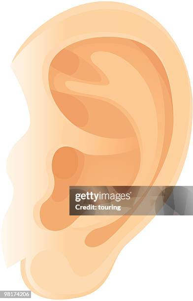 ear - ohr stock-grafiken, -clipart, -cartoons und -symbole