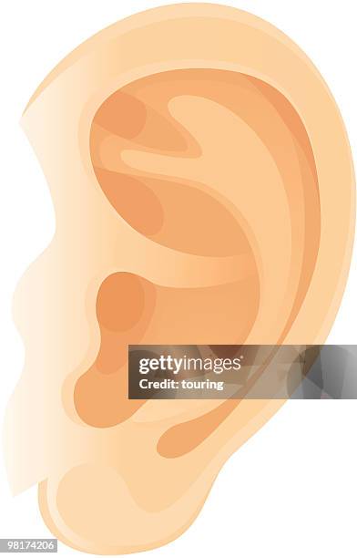 bildbanksillustrationer, clip art samt tecknat material och ikoner med ear - öra