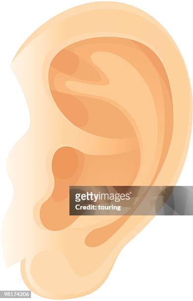 ear - ear stock illustrations