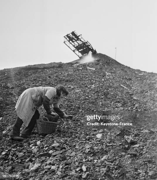 Femme ramassant du charbon pour sa consommation quotidienne dans le crassier dans une mine de la Sarre, en France, le 27 mars 1947.