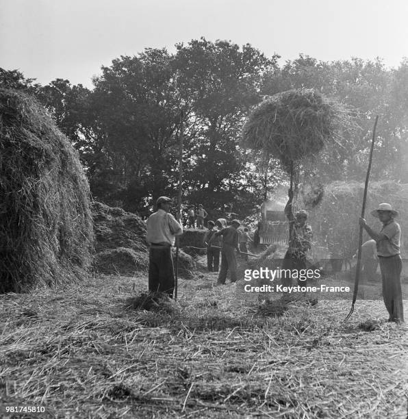 Des paysans rentrent les céréales après la récolte en France, le 9 septembre 1947.