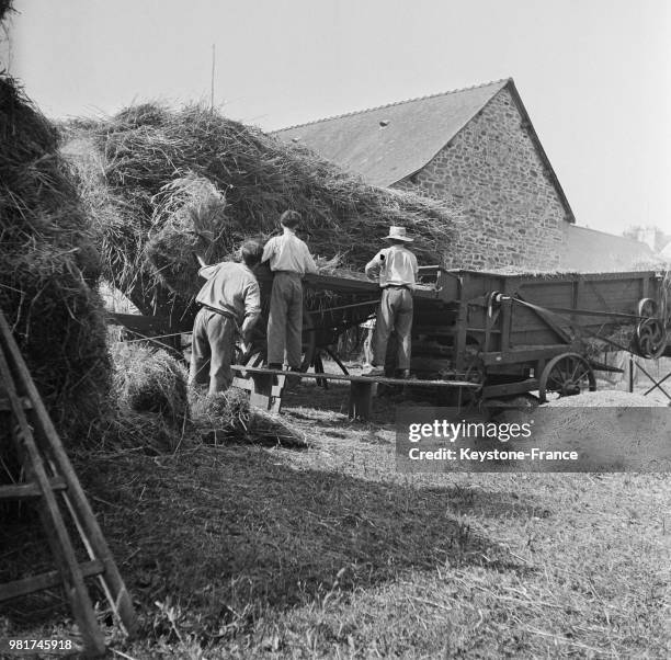 Des paysans rentrent les céréales après la récolte en France, le 9 septembre 1947.