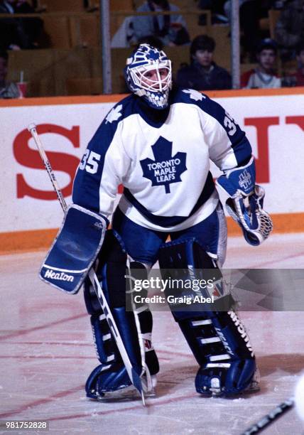 Jeff Reese of the Toronto Maple Leafs skates against the Chicago Black Hawks during NHL game action on March 19, 1990 at Maple Leaf Gardens in...