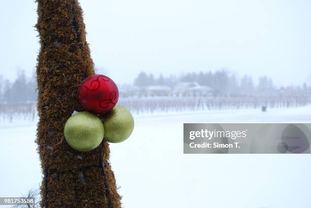 winter in icewine country - ice wine stock pictures, royalty-free photos & images