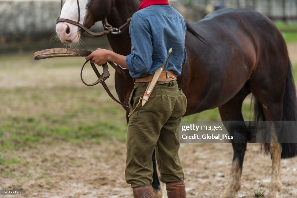 Gaucho and horse
