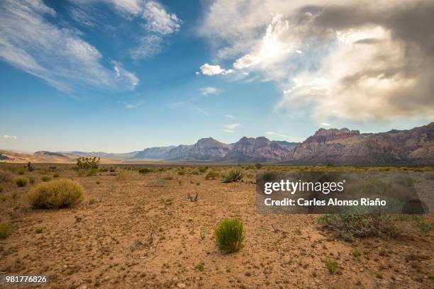 desert with cliffs in background, red rock canyon national conservation area, las vegas, nevada, usa - 乾燥気候 ストックフォトと画像