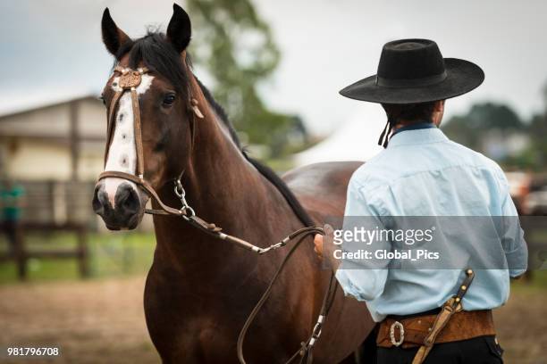 gaucho and horse - gaucho festival stock pictures, royalty-free photos & images