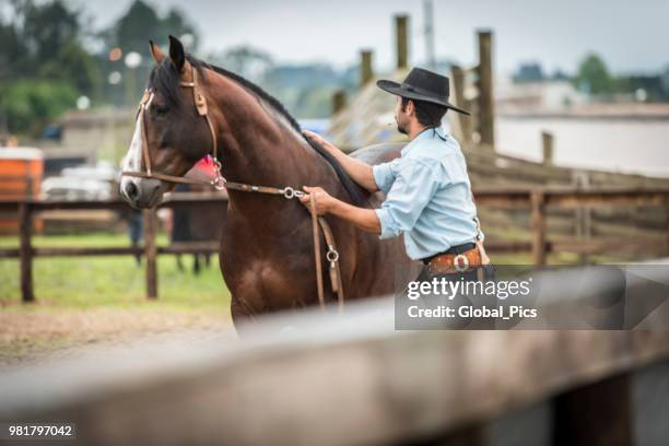 gaucho and horse - rodeo mud stock pictures, royalty-free photos & images