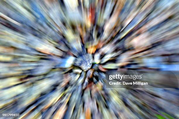hyperspace - hyperspace stock pictures, royalty-free photos & images