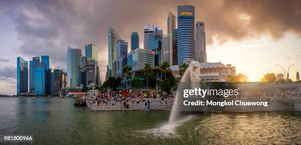 sunset scene of the merlion is a traditional creature with a lion head and a body of a fish, seen as a symbol of singapore city at the marina bay in singapore. - merlion park fotografías e imágenes de stock