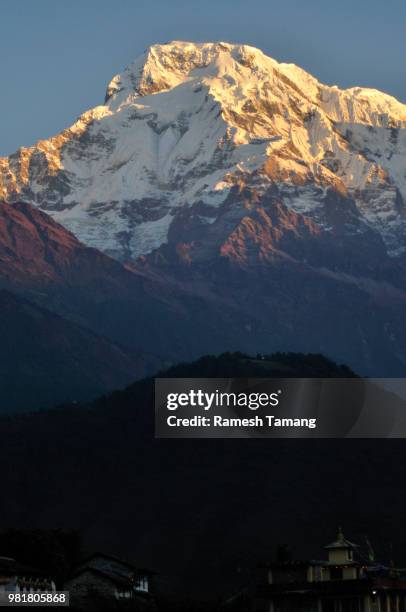 annapurna south, view from ghandruk village - annapurna south 個照片及圖片檔