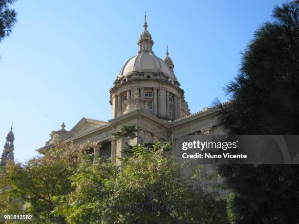 museu nacional d'art de catalunya - museu 個照片及圖片檔